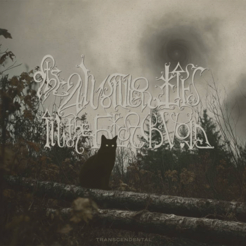 The Answer Lies In The Black Void : Transcendental